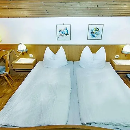 酒店 In Den Ruhpoldinger Bergen 4*